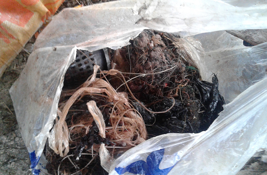 KILLER GARBAGE. Photo shows plastic bags, a mug-size plastic basket and assorted non-biodegradable garbage found inside the stomach of the seven-year old, 38-feet long male sperm whale that was discovered on Saturday in Samal Island, Davao del Norte. ALEXANDER D. LOPEZ