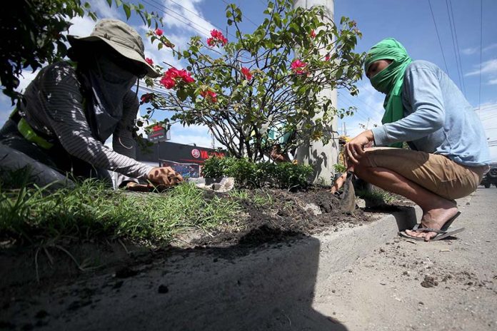 BEAUTIFICATION. Workers commissioned by the city government of Davao beautify the center island of a major thoroughfare in Barangay Pampanga, Davao City yesterday as part of the beautification program of the city. LEAN DAVAL JR.