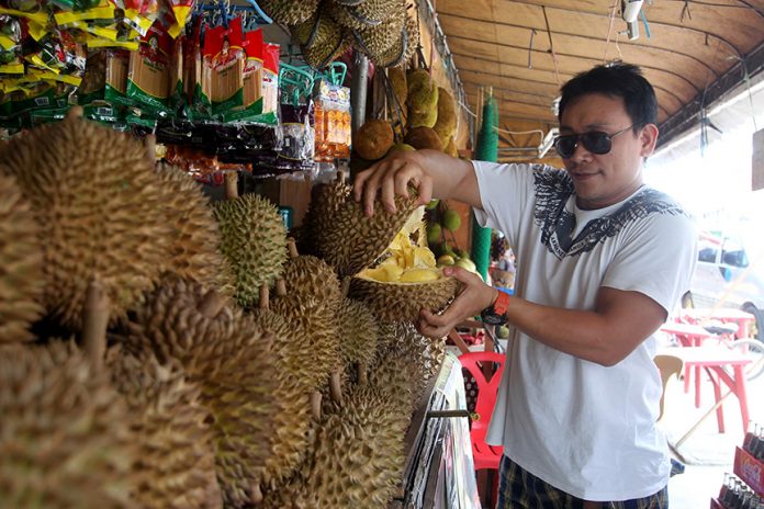 DURIAN BACK. A trader rips open a Durian fruit for customers at his fruit stall outside Magsaysay Park in Davao City yesterday. Thousands of foreign and domestic tourists are expected to arrive in the city to taste the exotic Durian fruit and to experience the vibe of the 80th Araw ng Davao festival which will kick off tomorrow at Rizal Park. LEAN DAVAL JR.