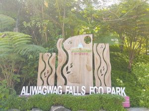 The new Aliwagwag Falls Eco-Park entrance features tasteful wooden art.