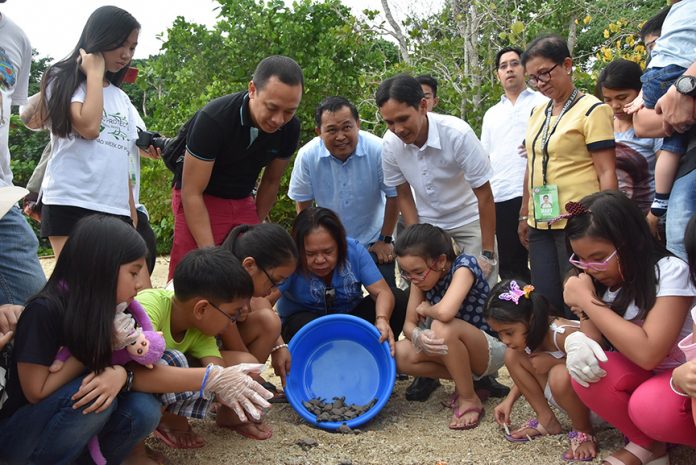 Davao Light welcomes 189 pawikan hatchlings | Edge Davao