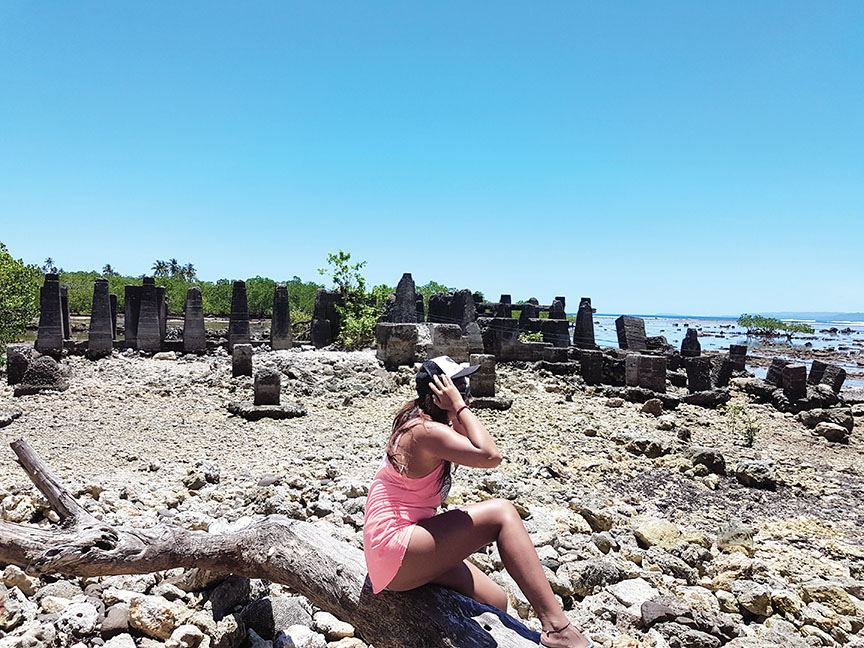 More beautiful driftwood pieces that function as seats to a beautiful shoreline view. Photo by Mottie Santos.