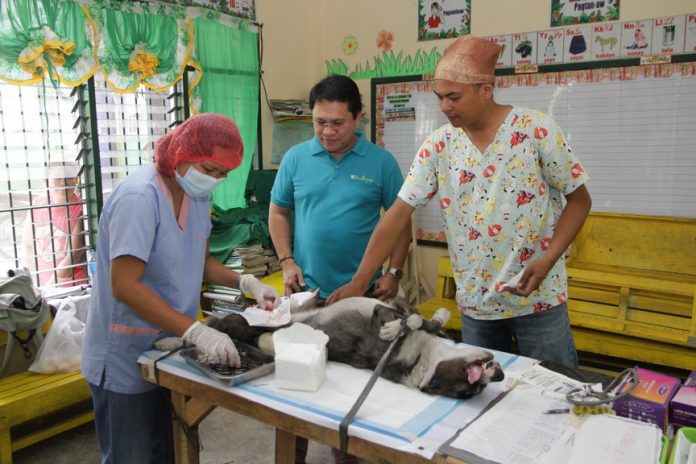 In addition to the services brought by the Hugpong Serbisyo, veterinary services such as anti-rabies vaccination and castration of cats and dogs were also offered free for the Tagumenyo pet-owners. Leo Timogan/CIO TAGUM