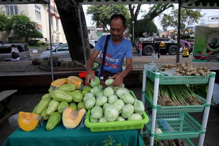 An organic farmer displays freshly harvested cabbage sold at the weekly organix market at Rizal Park in Davao City on Thursday. LEAN DAVAL JR.