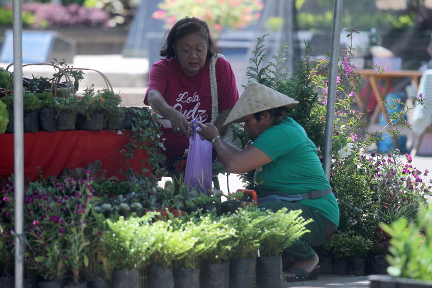 PICKING FLOWERS. An elderly woman chooses from a wide array of flowers being sold at a makeshift stall at Rizal Park’s organic market on Thursday. LEAN DAVAL JR.