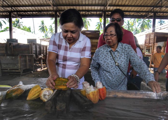 GETTING INTO THE ACT. Senator Cynthia Villar tries to cut open a cacao fruit while Malagos Garden Resort and Malagos Agri Ventures managing director Charita Puentespina and CIDAMI executive director Val Turtur watch during her visit at Puentespina cacao farm and processing plant in Malagos, Davao City over the weekend. Villar promised to assist the cacao industry in the city. LEAN DAVAL JR