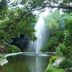 Man-made lake at People’s Park