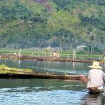 Aquaculture