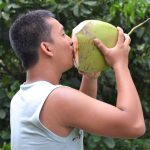 Buko juice drinking