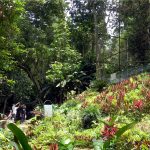 Philippine Eagle Center