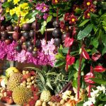 Fruits and flowers