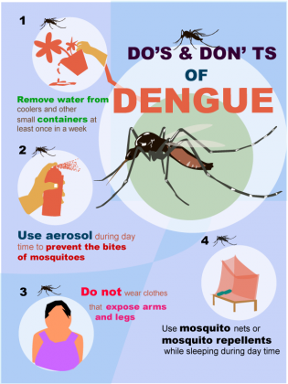 Protecting yourself from dengue-carrying mosquitoes | Edge Davao