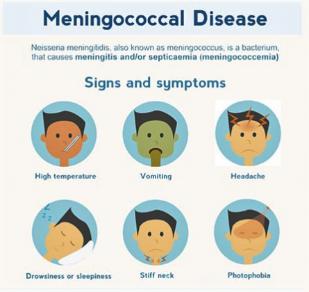 GETTING TO KNOW THE DEADLY MENINGOCOCCEMIA | Edge Davao