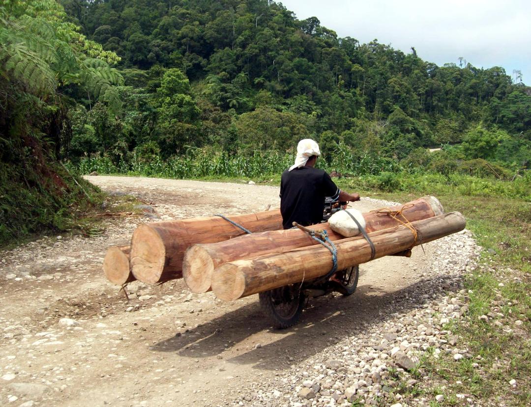  Motorcycle logging: In the past, carabao logging was rampant. In some parts of Davao region, motorcycle logging is common.