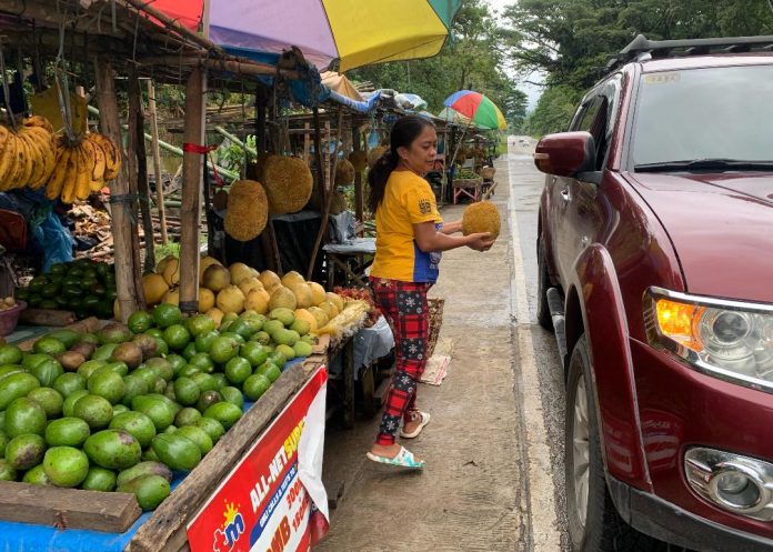 A wide array of fruits are on display at a makeshift store along the Davao-Cotabato highway in Makilala, Cotabato Province over the weekend. Edge Davao