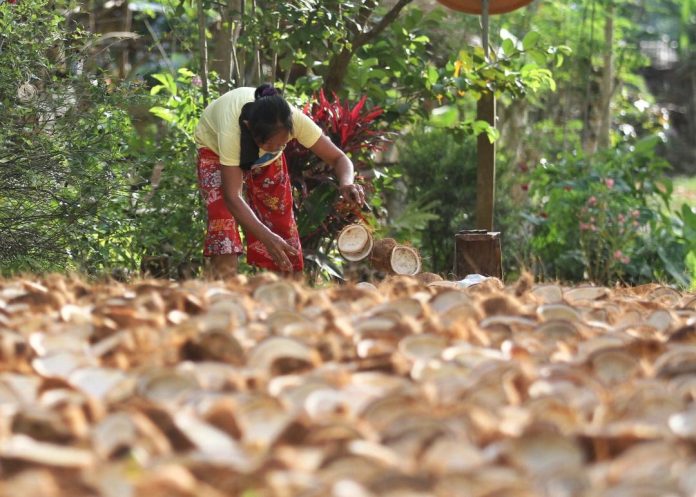 A resident dries coconuts next to a road in Brgy. Libertad, Kaputian District, Island Garden City of Samal (IGaCoS) in this undated photo. The Philippine Coconut Authority (PCA) gave its assurance of continuous expansion and modernization of the country’s coconut industry. LEAN DAVAL JR.