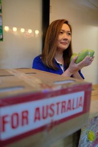 Melissa Aguasa, owner of the biggest Filipino shop in Western Australia, holds two Philippine Carabao mangoes from Davao del Sur shortly after the first shipment was delivered in Perth. The Australian government has allowed the shipment of mangoes from the Philippines after a 10-year wait. Aguasa is the distributor of the mangoes sourced from Magsaysay and Bansalan in Davao del Sur for Western Australia. Neilwin Joseph L. Bravo