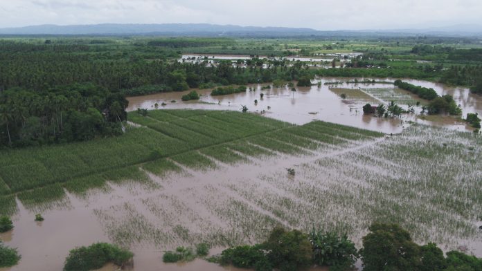 Provincial Government of Davao del Norte Photo